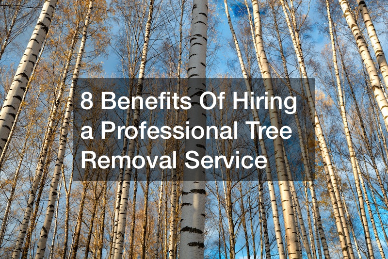 Tree Fertilizing Company Douglasville